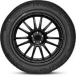 Pneu Aro 17 20555ZR17 95W xl Prtech Dsu02 Doublestar - Imagem 2